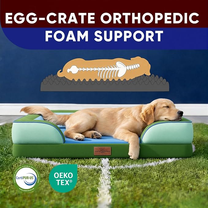 Comfort Expression Orthopedic Dog Bed for Extra Large Dogs 45x35 Inch, Waterproof Egg Crate Foam XL Pet Bed with Bolsters, Dog Couch with Washable Cover & Non-Slip Bottom, Boston