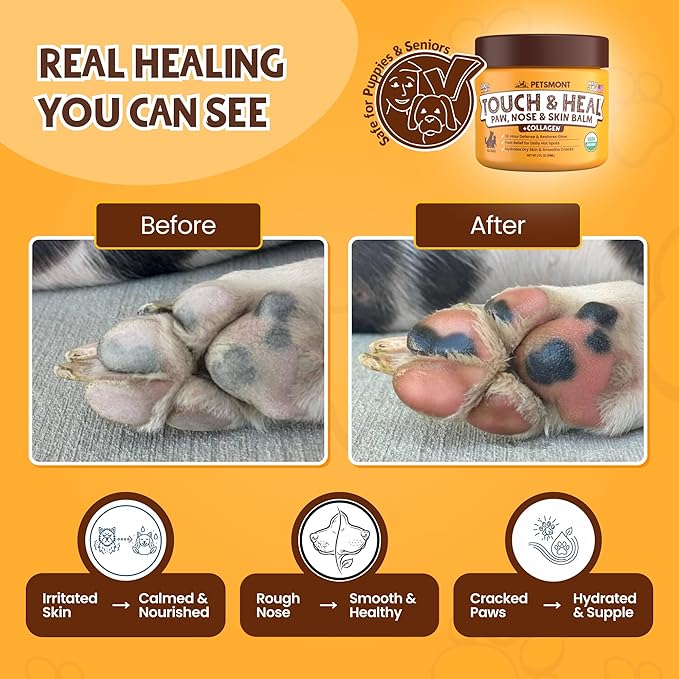 Petsmont Touch & Heal Organic Paw Balm for Dogs 2oz - Cream Lotion Protection Moisturizer Nose Natural Soother Hot Pavement Wax Dry Paws Cracked Butter Protectors Pad Snout Puppy Elbow Foot Pet