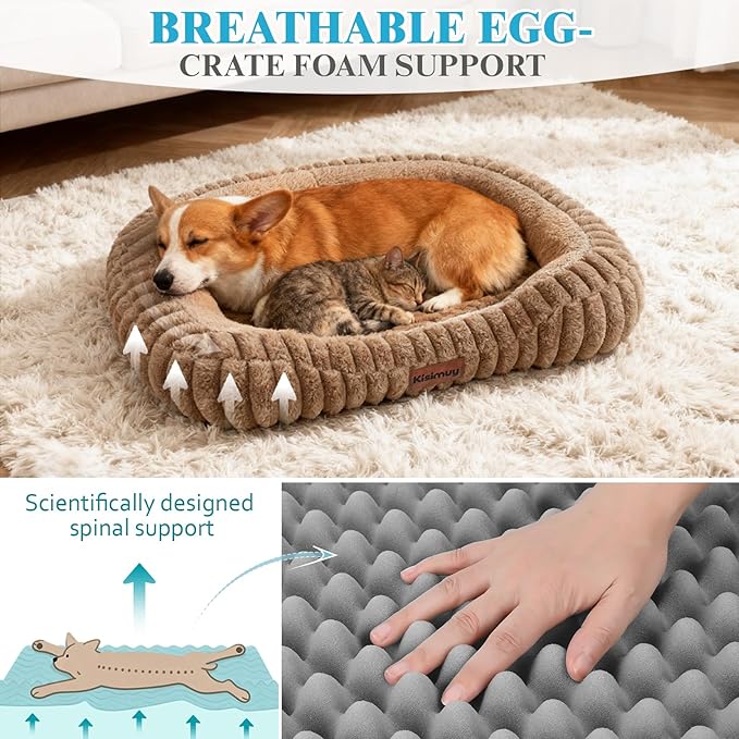 Orthopedic Dog Bed,Hip Joint Support Large Dog Crate Pad for Senior | 35L x 27W x 5.5H, Egg-Crate Memory Foam, Washable Cover, Low Front Entry, Non-Slip Bottom, Large Sized Dog, Brown
