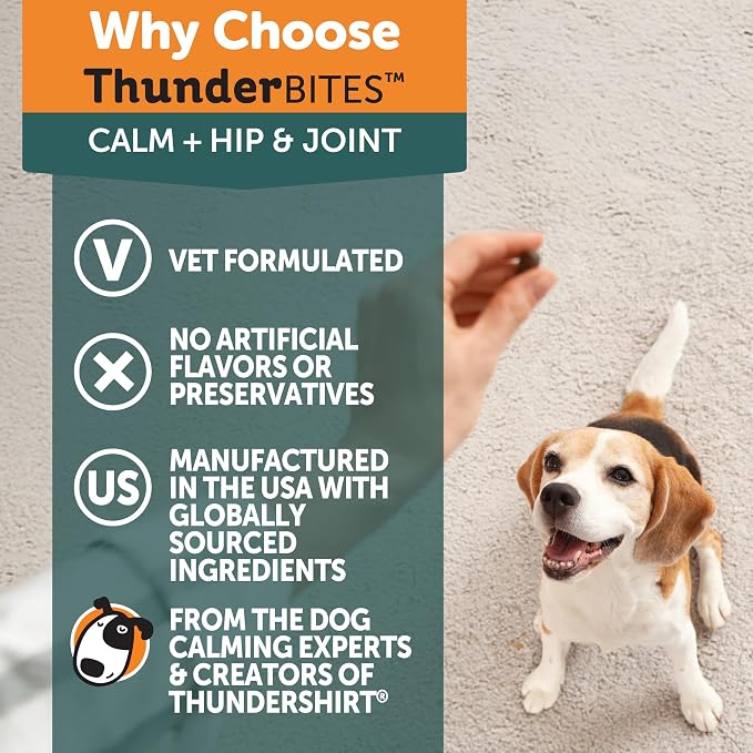 ThunderBites Calm + Hip & Joint Daily Supplement for Dogs, Soft Chews, Supports Joint Health Plus Calming from Daily stressors, Includes Glucosamine, Omega 3s, MSM, Melatonin, Ashwaganda, 90 Count