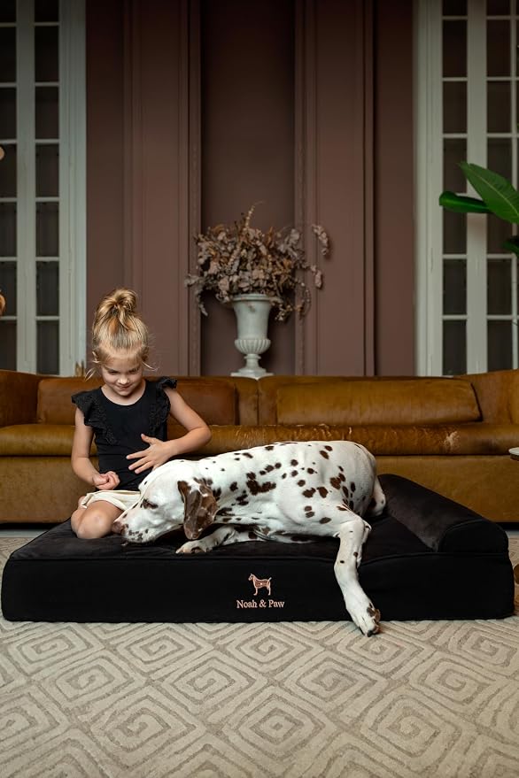 NOAH & PAW XL Dog Bed, 45x35x9.1 Inch, Orthopedic Large Dog Beds, Eggshell Memory Foam Infused with Cooling Gel, Water Resistant, Machine Washable, Includes Inner Cover (Denim Collection)