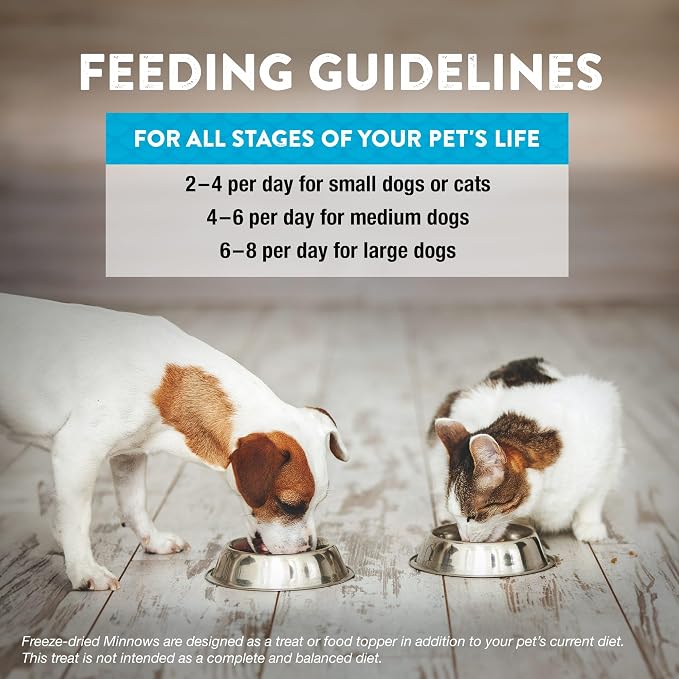 Northwest Naturals Raw Rewards Freeze-Dried Minnow Treats for Dogs and Cats - Bite-Sized Pieces - Healthy, 1 Ingredient, Human Grade Pet Food, All Natural, Proudly Made in USA, 1 Oz (Pack of 3)