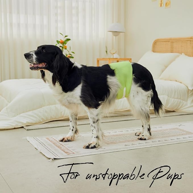 WICKEDPUP Male Dog Belly Band Kit, 50 Diaper Pads & 1 Reusable Male Wrap (Size 3 (21.5"-26" Waist))