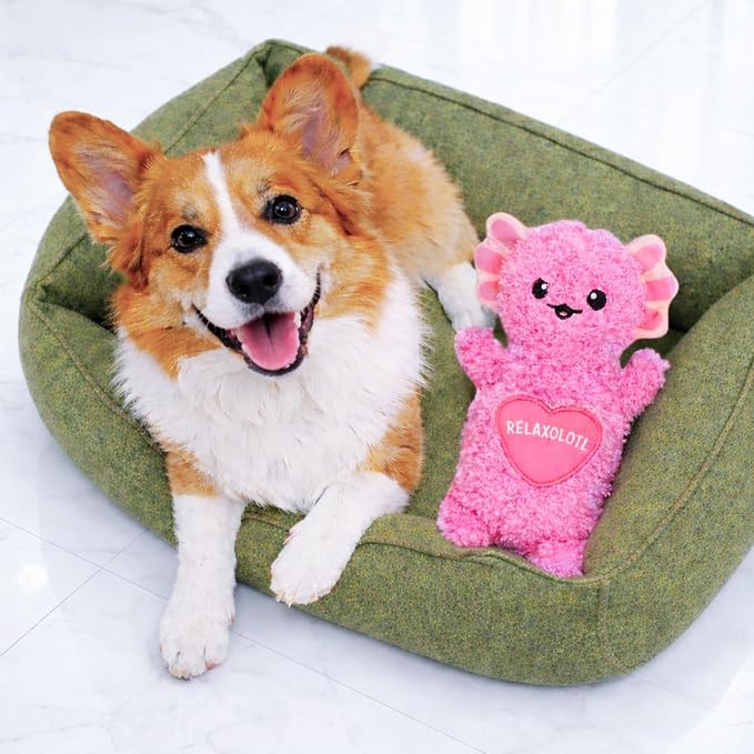 Comfort Plush Dog Toy with Microwavable Buckwheat Heat Pouch, Ultra-Soft Calming Cuddle Companion for Puppies & Dogs, Axolotl, 11”