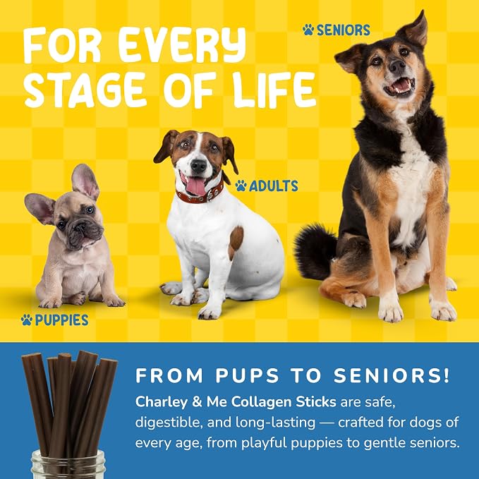 CHARLEY & ME Premium Collagen Sticks for Dogs - Long Lasting Dog Treats, Free Dog Chew Sticks - Hip & Joint Support, Healthy Skin, Shiny Coat - 100% Natural Beef - 6 Inches (Pack of 25)