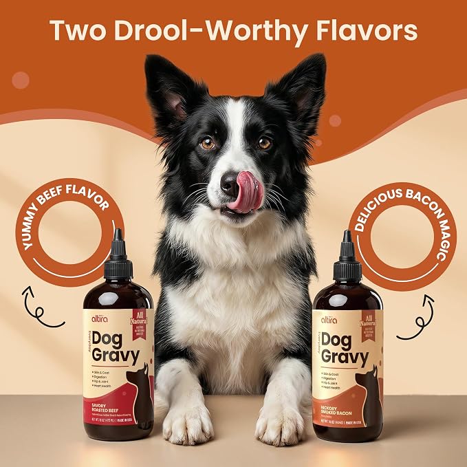 Everyday Dog Gravy - Hickory Bacon | Wet Dog Food Topper for Dry and Wet Food with Glucosamine, MSM, Bone Broth, Omega 3, Probiotics & Taurine | Picky Eaters, Hip & Joint Support | 16 oz