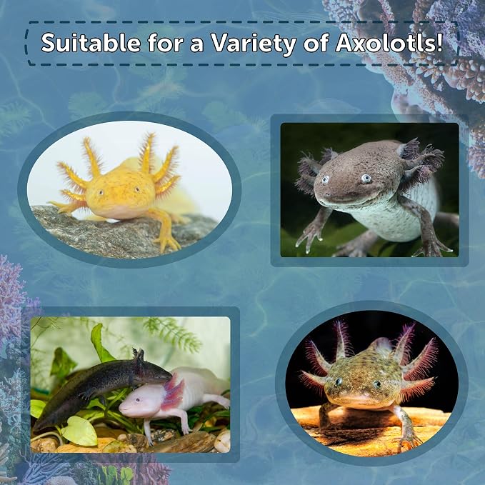 Axolotl Food 1/4" Soft Moist Sinking Pellets for Axolotls, Shrimp, Snails, Newts, Large Catfish, Monster Fish, Tropical Fish, Koi, Pond Fish, Salmon Meal Pellets - 1/4-lb