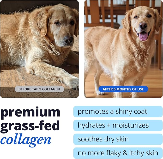 Taily Liquid Collagen for Dogs Skin and Coat Supplement, Cats | Taily Liquid Premium Grass-fed Collagen | Itch Relief for Dogs with Allergies, Biotin, Vitamin C and Hyaluronic Acid | Made in USA