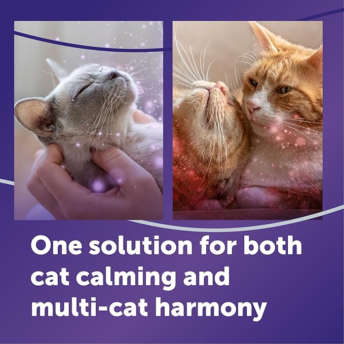 FELIWAY Optimum Cat Calming Diffuser Refill (1 Pack, 30 Day Supply) – Cat Pheromone Diffuser Refill for Advanced Support to Reduce Stress, Spraying, Scratching, Fighting and Hiding