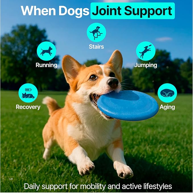 Hip and Joint Supplement for Dogs – Glucosamine for Dogs, Dog Joint Supplement, Mobility, Flexibility & Comfort, Chews with Glucosamine Chondroitin Msm & Omega3, 2 Pack,340 Chews,Made in USA