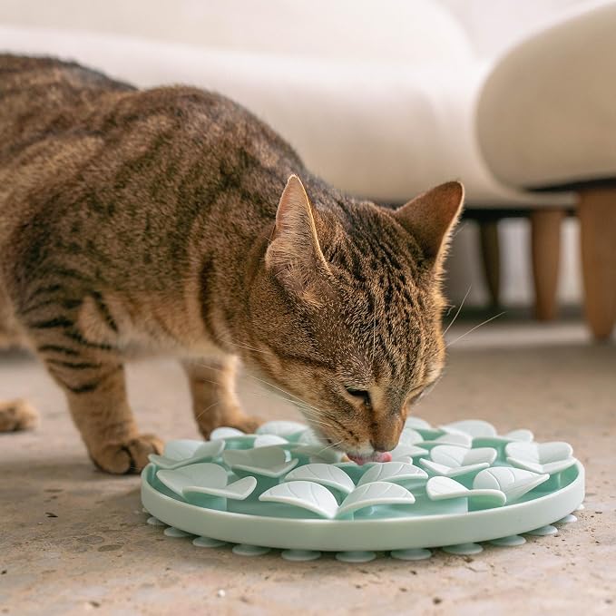 Dexypaws: Enrichment Snuffle Mat: Sky Blue Circle - Textured Dog Feeding Pad, Food Grade Silicone, Spread Food & Treats, Pet Soothing, Suction Back