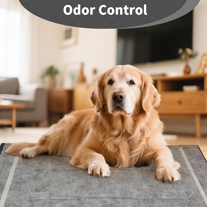 Charcoal Infused Pee Pads for Dogs and Cats, 30 Count, XL, 28"x34" | 6 Layer, Odor Control, Training Underpads, For Dogs, Cats, and Pets, Floor and Furniture Protectors
