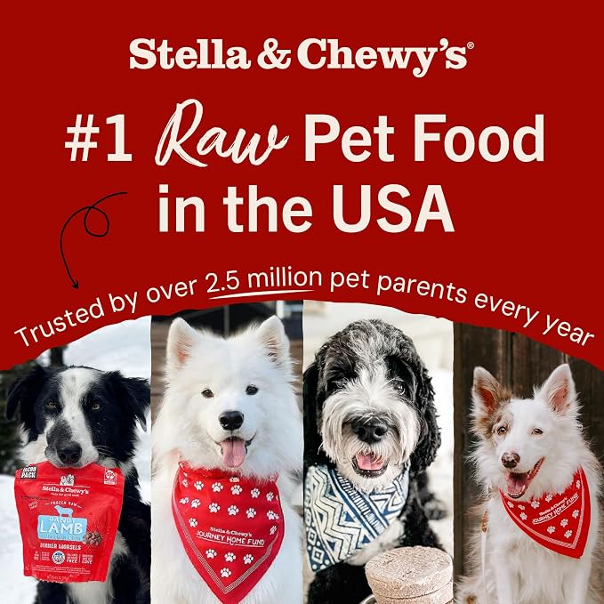 Stella & Chewy's Freeze-Dried Raw Dinner Patties - Duck Duck Goose Recipe - High Protein Grain-Free Puppy & Dog Food - Perfect For Picky Eaters - 14 oz