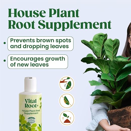 Root Rot Repair & Plant Transplant Shock Recovery – Liquid Supplement for Indoor Plants, Fiddle Leaf Fig, Monstera & Pothos | Heals Roots, Prevents Brown Spots & Leaf Drop, 8 oz – Vital Root+