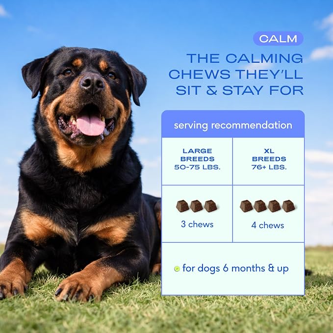Native Pet Calming Chews for Dogs - Promotes Calming Effect, Supports Emotional Balance & Reduces Hyperactivity - Hemp Seed, Melatonin for Dogs, L-Theanine & Casein - Air-Dried 90 Chews