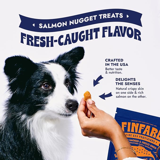 Finfare Freeze Dried Salmon Dog Treats, Protein & Omega-3s, Grain Free Salmon Dog Training Treats, Crafted in USA, Nuggets - 9oz