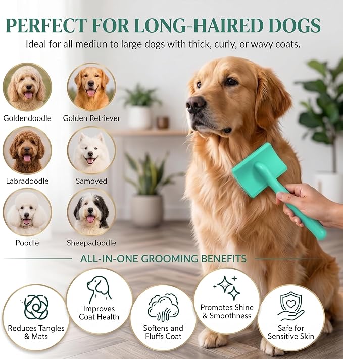 Large Slicker Brush for Dogs - 3-Piece Solid Wood Dog Grooming Kit for Doodles and Poodles - for Wavy, Curly & Matted Hair, Green