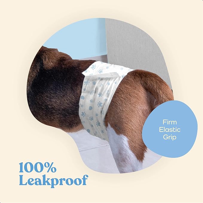 Comfortable Male Dog Diapers - 50-Pack Super Absorbent Disposable Male Dog Wraps- FlashDry Gel Technology, Wetness Indicator Doggie Diapers- Leakproof Belly Wraps for Incontinence, Excitable Urination