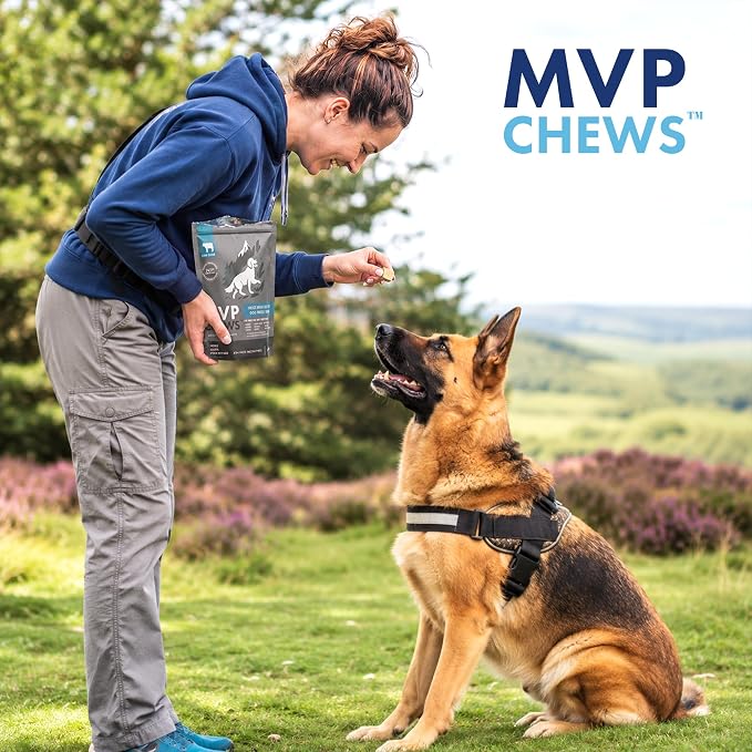 MVPChews | Freeze Dried Beef Liver Dog Treats | Single Ingredient Training Treats | High Protein, Grain Free, No Additives or Fillers | Premium Quality Food Topper | Made in USA - 3.5oz