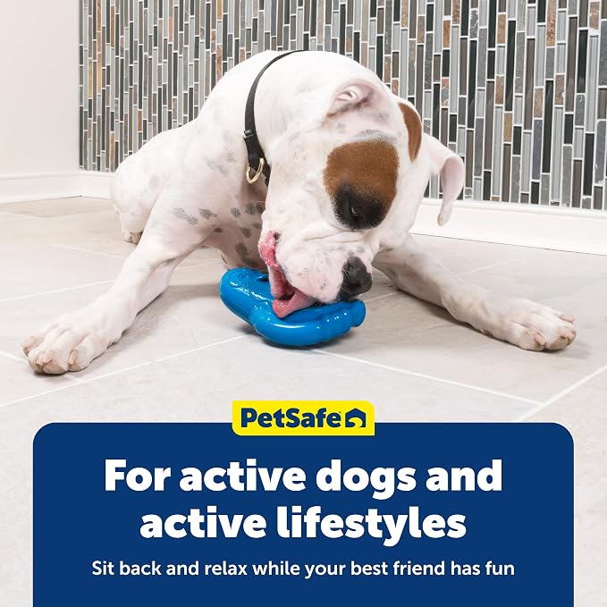 PetSafe Chilly Penguin - Freezable Dog Toy for Medium and Large Dogs - Fill and Freeze - Frozen Dog Toy to Fill with Treats - Interactive Pet Puzzle for Boredom or Separation Anxiety, ML (Pack of 2)