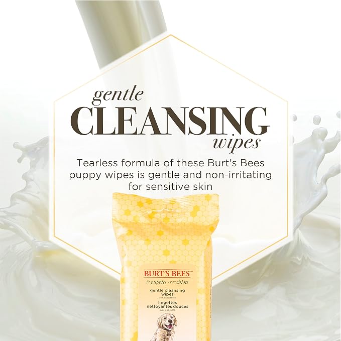 Burt’s Bees for Pets Gentle Cleansing Puppy Wipes with Buttermilk - Hypoallergenic, 98% Natural Origin Wipes That Gently Cleanse and Condition, Safe Formula, 50 Count - 6 Pack