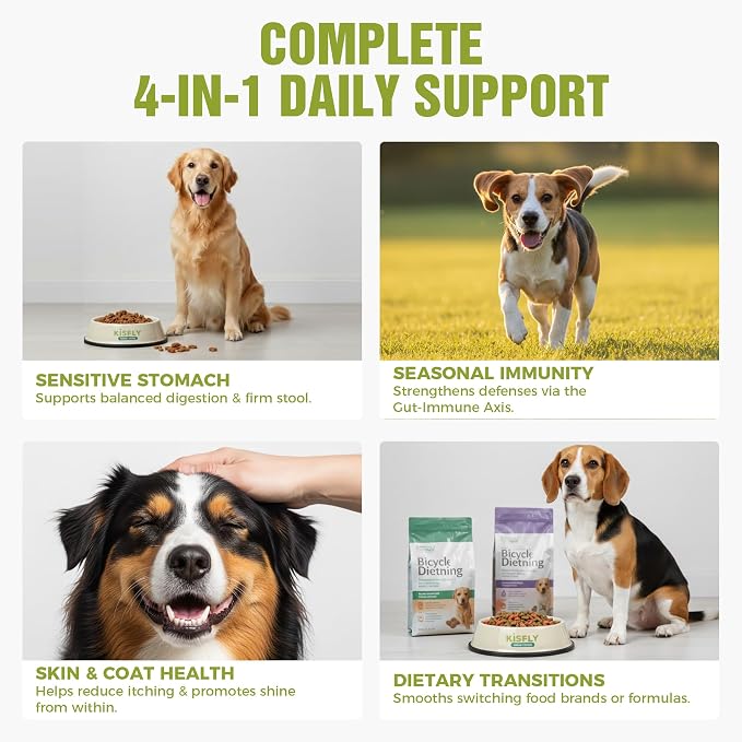 Dog Probiotics 2 Billion CFU & 6 Strains - Advanced Digestive Support with Bacillus Subtilis - Soft Chews for Gut Health, Bloating & Healthy Stool - Daily Supplement for All Breeds