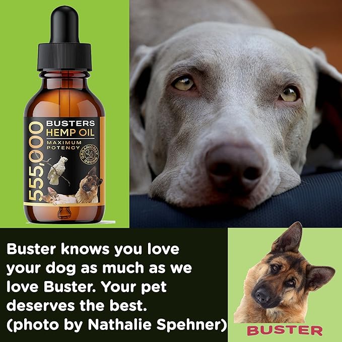 Buster's Organic Hemp Oil for Dogs and Cats, Economy 4PACK-8MTH-Supply, Large 60ml Bottle, Made in USA - Miracle Formula, Perfectly Balanced Omega 3, 6, 9 - Supports Joints