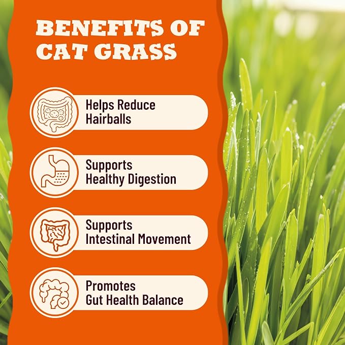 Lickable Cat Treats with Lick-Up Spoons, Healthy Wet Cat Snacks for Digestive Support, Grain-Free Kitten Treats with Taurine & Vitamins, Cat Grass & Pumpkin Variety Pack (32 Spoons) (Cat Grass)