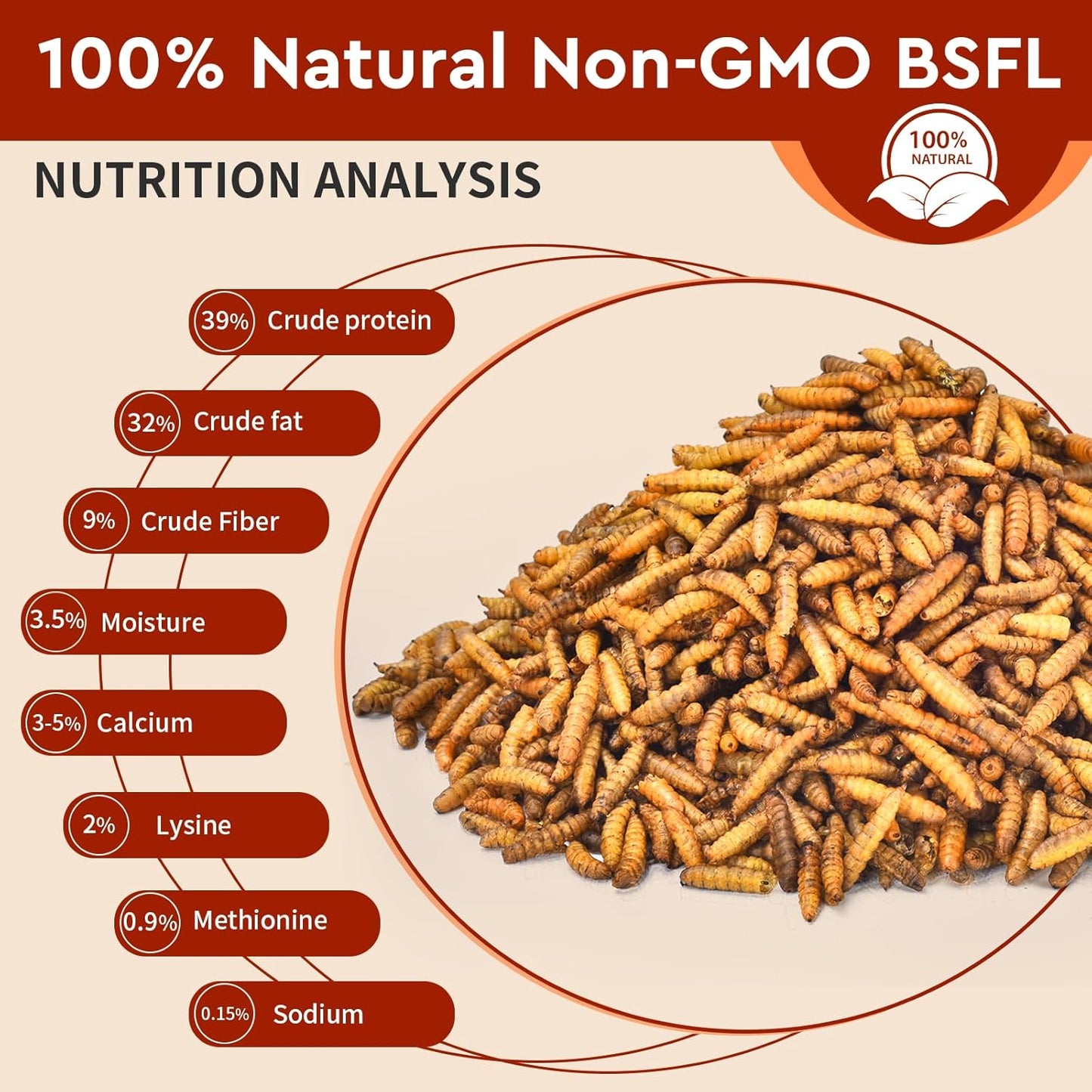 Dried Black Soldier Fly Larvae 5LB, High Protein Chicken Feed, 100% Natural Non-GMO – Treat for Chicken More Calcium Than Mealworms, Food for Laying Hen, Ducks, Wild Birds