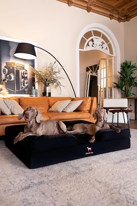 NOAH & PAW Giant Dog Bed XXL, 55x45x11 Inch, Orthopedic Dog Beds, Eggshell Memory Foam Infused with Cooling Gel, Inner Cover, Water Resistant, Machine Washable (Denim Sofa Collection)