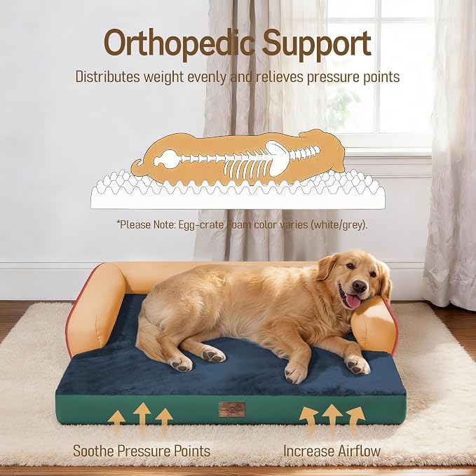 Comfort Expression Memory Foam Dog Bed for Large Medium Sized Dogs - Waterproof Orthopedic Dog Beds with Washable Removable, Non-Slip Pet Sofa Couch, 36 x 27