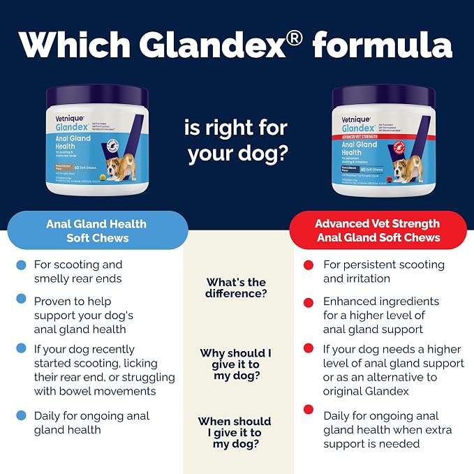 Vetnique Glandex Anal Gland Soft Chew Treats with Pumpkin for Dogs Digestive Enzymes, Probiotics Fiber Supplement for Dogs Boot The Scoot (Bacon Flavor Chews, 60 Count) (Pack of 2)