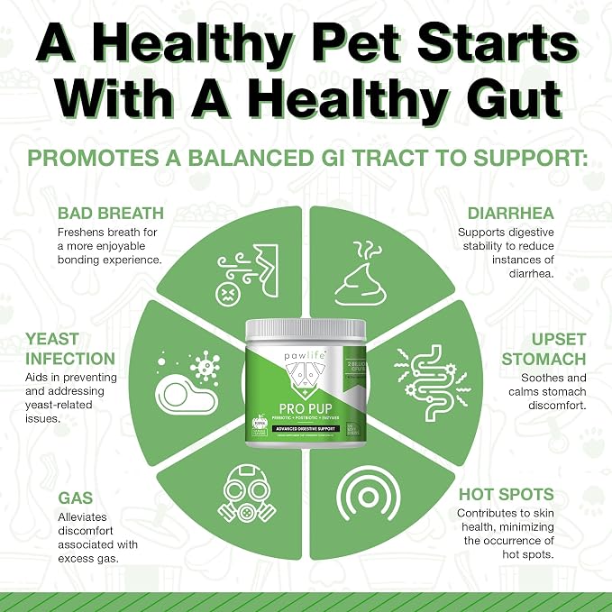 Probiotics for Dogs - Diarrhea Relief, Gut Health Support, Constipation Relief, Digestive Health Support - Vet Recommended Dog Probiotics - 120 Soft Chews that Dogs Love - Pumpkin Flavor