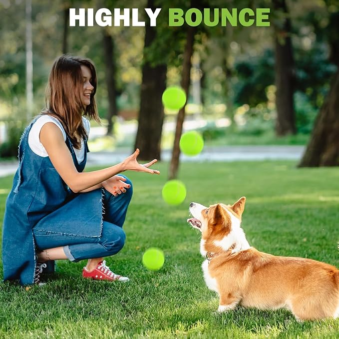 FURWEY Tennis Balls, 12/24/36/80 Pack Bulk Tennis Balls Pressureless Tennis Ball, Come with Mesh Bag for Easy Transport,Pet Dog Playing Balls, Good for Beginner Training Ball