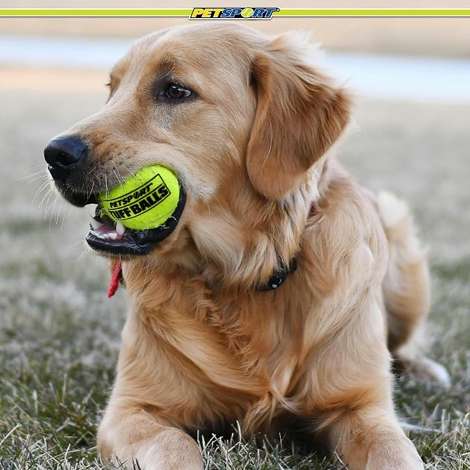 PetSport Yellow Tennis Ball Dog Toys | 24 Pack Medium (2.5") Pet Safe Non-Toxic Industrial Strength Felt & Rubber Tuff Balls | Play Fetch, Launch, Chuck or Toss at Dog Park