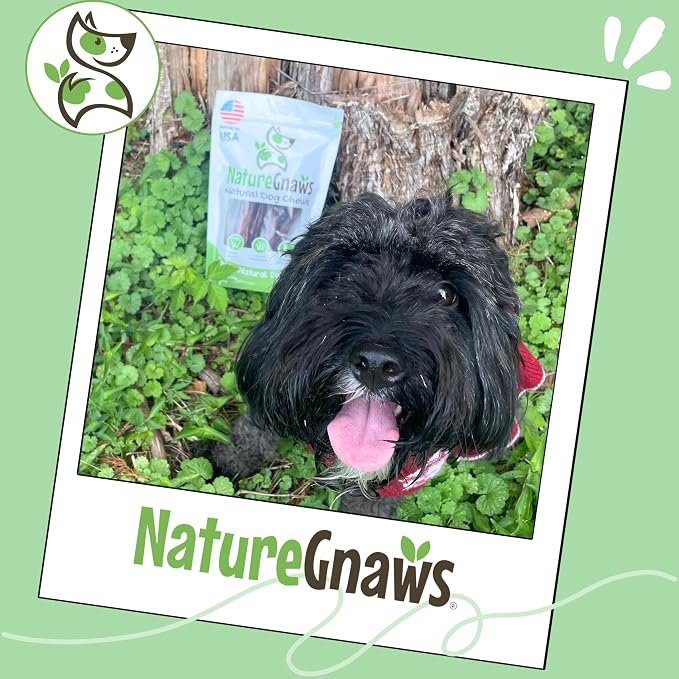 Nature Gnaws USA Steer Sticks for Dogs 5-7" (8oz) - Mixed Thickness - Long Lasting for Aggressive Chewers and Large Dogs - Natural Beef Bully Dog Chew Bones