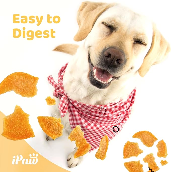 iPaw 5 Stock-Up Combo Chicken Chips Dog Treats for Puppy Training, SQF Certified Human Grade Dog Treat, Hypoallergenic, Easy to Digest (Chicken Chips), 5 Packs