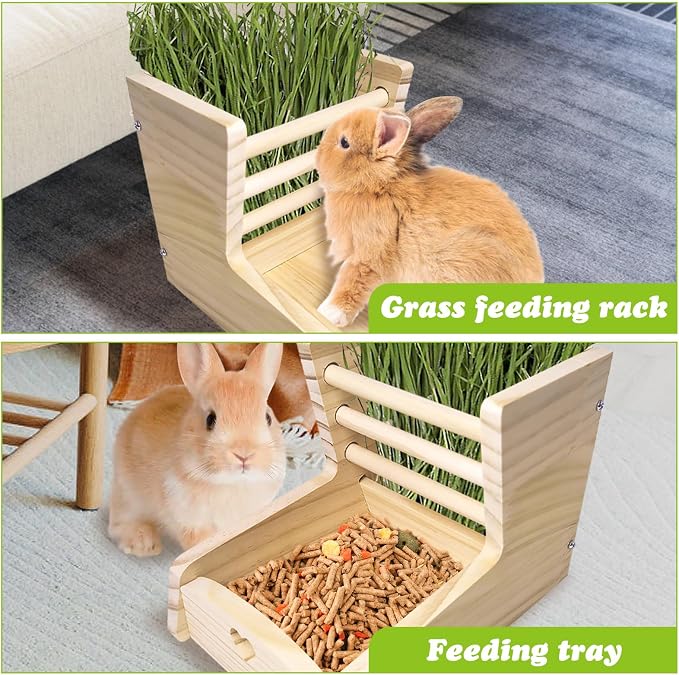 Hamiledyi Bunny Chew Toy for Teeth,Guinea Pig Natural Organic Fruitwood Sticks with Grass Cake Small Rabbit Hay Feeder with Wooden Food Feeding Manger Bunny Hay Dispenser Small Animals Grass Holder