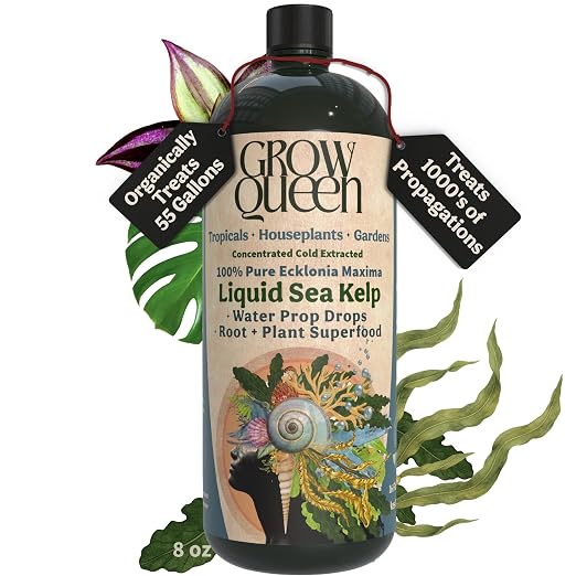 Organic Liquid Kelp & Seaweed Extract Prop Drop (Ecklonia Maxima) – Root + Plant Growth Hormone & Root Plant Food for Water Propagation, Hydroponics & Soil – 8oz 55 Gallons