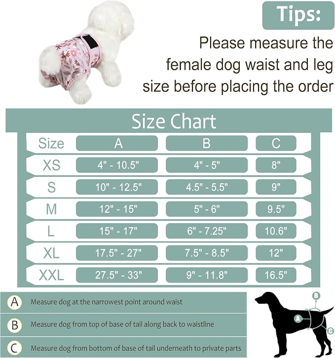 Female Dog Diapers 5Pcs - Premium Reusable Diapers for Doggie in Heat - Highly Absorbent Dog Diapers Female for Pet Incontinence with Adjustable Snaps, Breenish Lily Flower, S