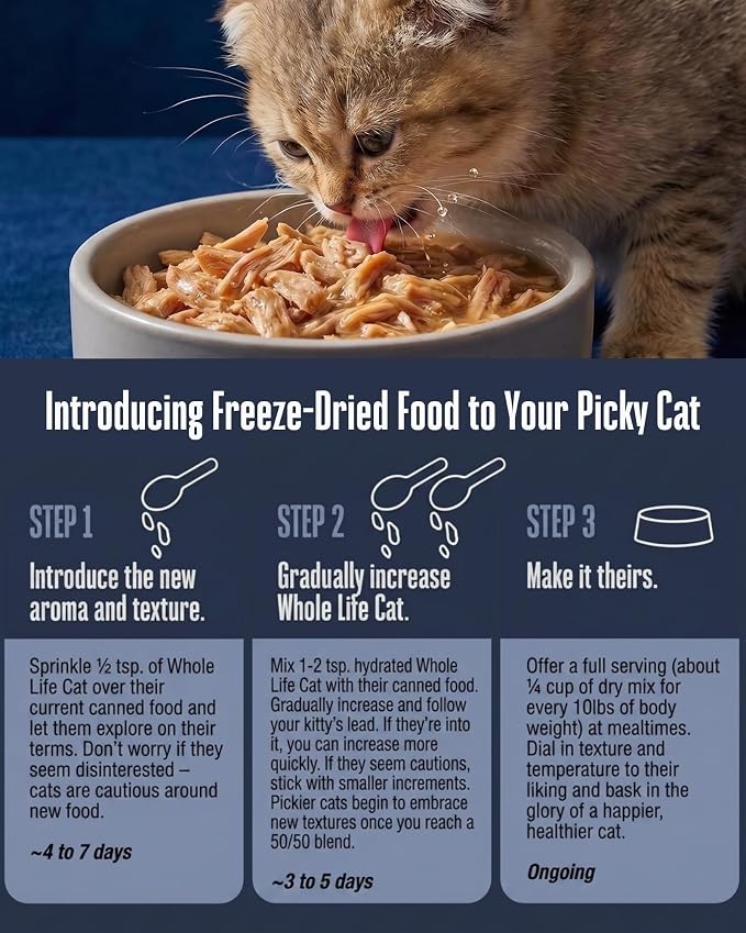Whole Life Cat Freeze Dried Cat Food - Human-Grade Wet Food Toppers, Snacks & Lickable Treats, Instantly Hydrating Natural Broth Just Add Water - Salmon & Tuna, 4.5 Oz