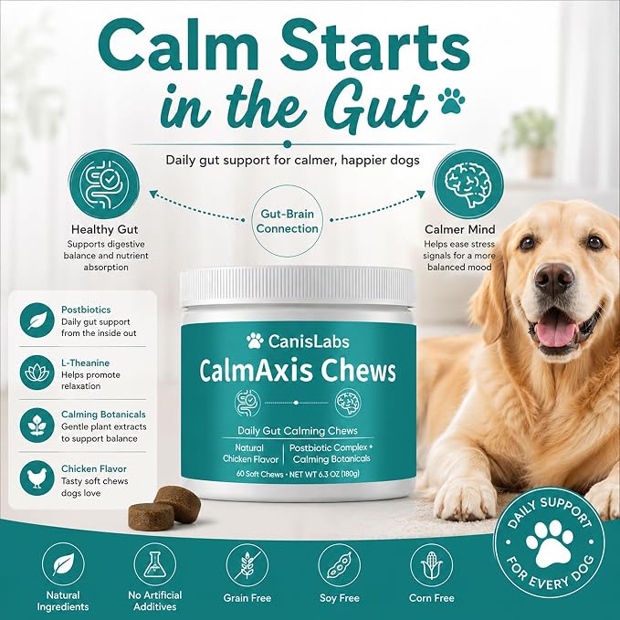 Calmaxis Postbiotic Chews, Calming Chews for Dogs, Daily Gut Support with Postbiotics + L-Theanine for Puppies Small All Dogs, Reduce Stress and Anxiety, Chicken Flavor, 60 Soft Chews
