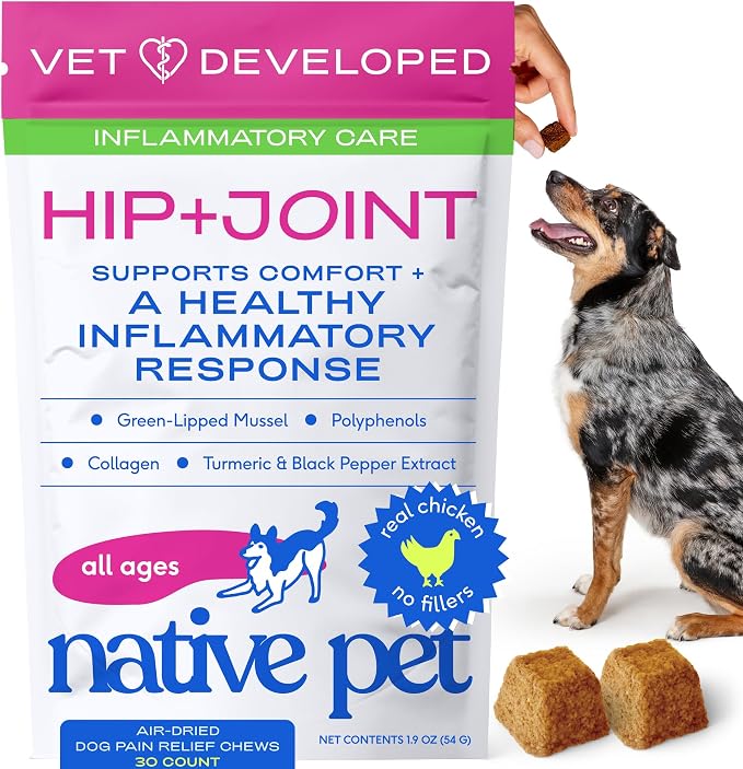 Native Pet Inflammatory Care - Pain Relief for Dogs - Green-Lipped Mussel, Turmeric & Collagen for Dogs - Hip and Joint Supplement Supports Healthy Inflammatory Response & Joint Comfort - 30 Chews