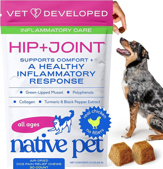 Native Pet Inflammatory Care - Pain Relief for Dogs - Green-Lipped Mussel, Turmeric & Collagen for Dogs - Hip and Joint Supplement Supports Healthy Inflammatory Response & Joint Comfort - 30 Chews