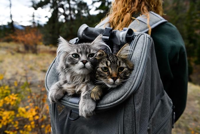 Travel Cat Navigator Backpack Carrier & Portable Collapsible Litter Box – Durable, Ventilated Cat Carrier for Travel, Hiking, Outdoor Use with Travel-Friendly Litter Box for Cats
