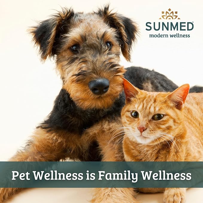 Sunmed Wellness Chew for Dogs with Pumpkin & Hemp Extract – Supports Digestive Health, Wellness & Balance – All-Natural, Safe & Tasty Chews for Dogs – 40ct