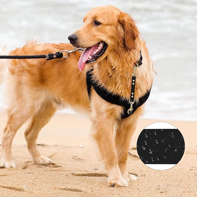PetBonus 2-Pack Large Silicone Collapsible Dog Bowls and Dog Collar Safety Clip