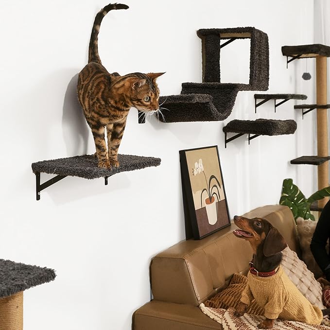 FUKUMARU Cat Wall Shelves, Stable & Safe 4 in 1 Cat Walls Furniture Set, Wooden Kitten Climbing Wall with Scratching Post for 16 Inch Drywall - Gray