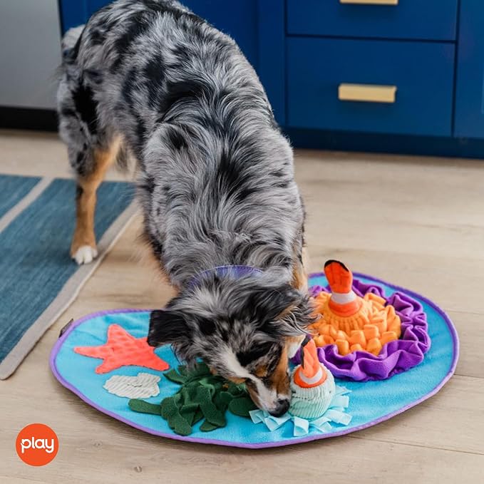P.L.A.Y. Cute Snuffle Mat for Dogs - Ocean Themed Interactive Food & Treat Mat for Puppies Dogs - Enrichment Toy, Great for Slow Feeding, Nosework & Foraging Skills - Machine Washable