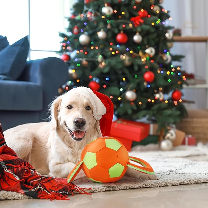 ALL FOR PAWS Ballistic Handle Ball Dog Toy with Squeaker, Interactive Handle Tug of War Ball Toy for Small Medium Large Dogs (Receive one of the Three Colors)